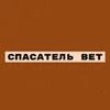 СПАСАТЕЛЬ-ВЕТ