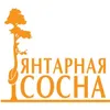 Янтарная сосна