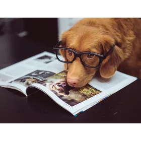 Скидка 20% на отправку писем и посылок!
