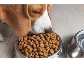 Скидка 30% на сухой корм Purina Pro Plan для кошек!