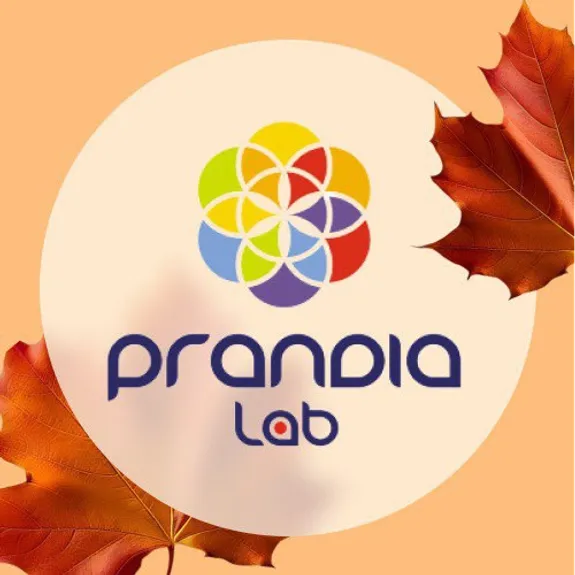 Скидка 15% по промокоду в интернет-магазине PRANDIA lab Скидка 15% по промокоду в интернет-магазине PRANDIA lab