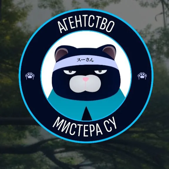 Скидка 5% по промокоду в интернет-магазине Агенство МИСТЕРА СУ Скидка 5% по промокоду в интернет-магазине Агенство МИСТЕРА СУ